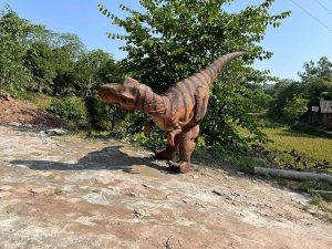 Tyrannosaurus rex Costume