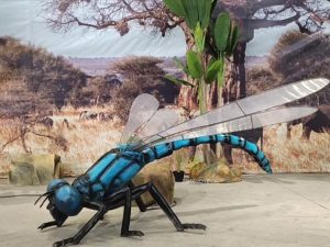 Animatronic Dragonfly HS149