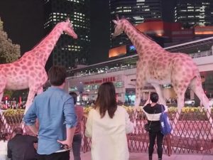 Animatronic Giraffa Camelopardalis HS137