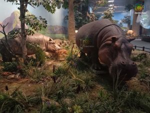 Animatronic Hippopotamus HS2006