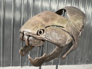 Dunkleosteus Skull Replica HS177