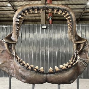 Shark Skull Replica HS175