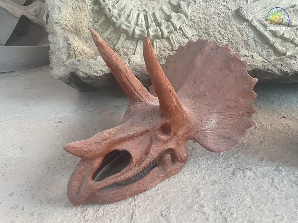 Triceratops