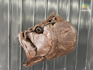 Xiphactinus Head Fossil Replica HS176