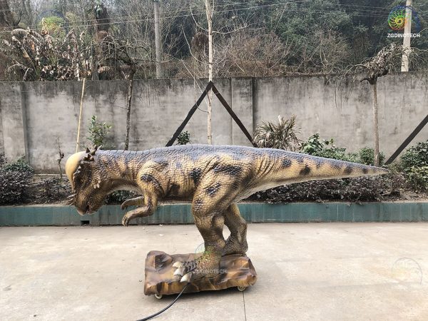 Animatronic Pachycephalosaurus HS190 - Image 2