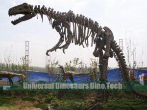 Allosaurus Fossil Replica
