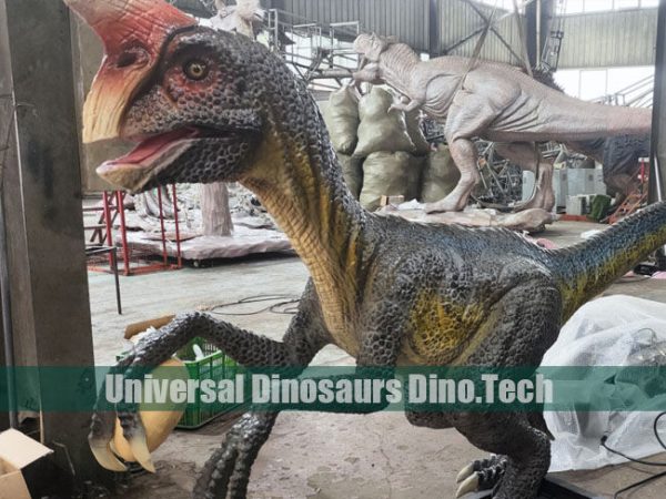 Animatronic Oviraptor Model