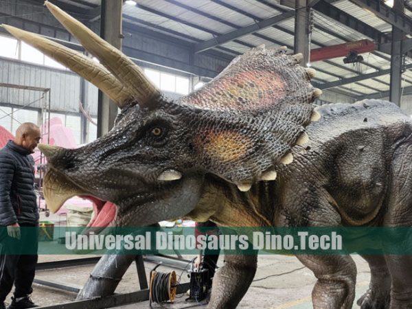 Animatronic Triceratops Exhibits
