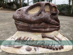 Big Allosaurus Skull