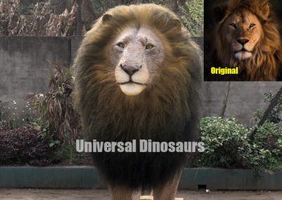 Lion Model