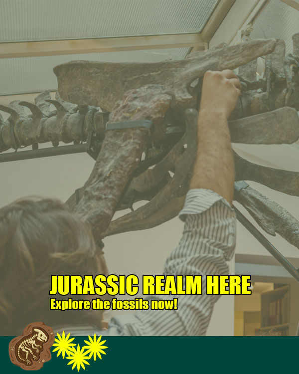 fossil replica