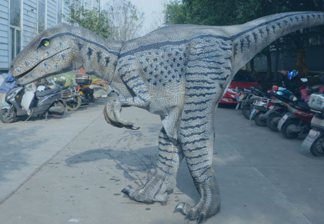 Four Legs Triceratops Ride