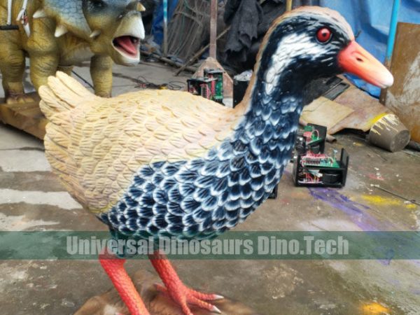 Jungle Bird Models