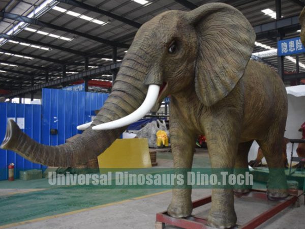 Jungle Elephant Exhibits