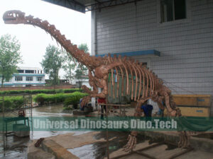 Plateosaurus Fossil Replica