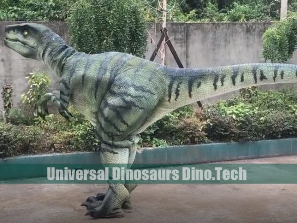 Raptor Costume
