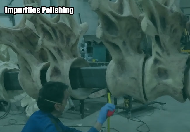 Skeleton Impurities Polishing