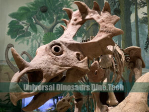 Styracosaurus Fossil Replica