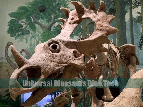 Styracosaurus Fossil Replica