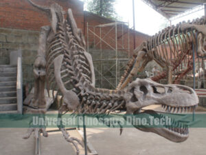 Trex Fossil Replica