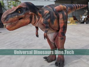 Trex Outfits