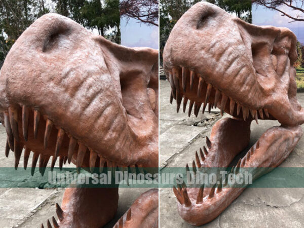 Trex Skull Replica