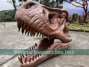 Trex Skull Replica