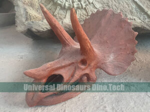 Triceratops Skull