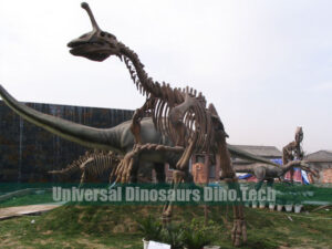 Tsintaosaurus Fossil Replica