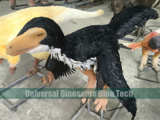 Animatronic Anchiornis Model