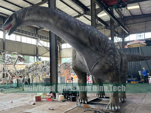 Animatronic Apatosaurus Exhibits