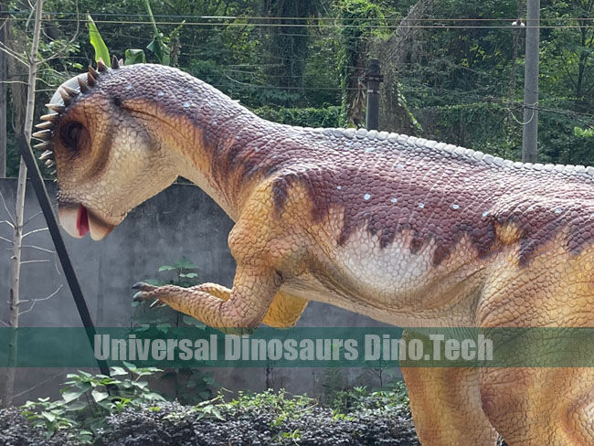 Animatronic Pachycephalosaur Model