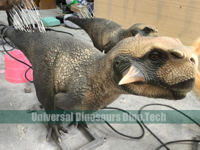 Animatronic Psittacosaurus Exhibits