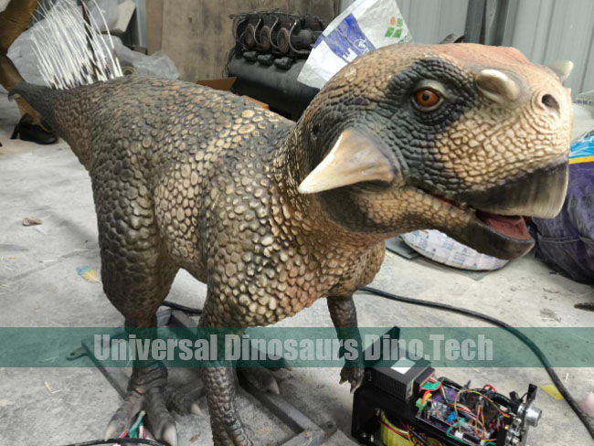 Animatronic Psittacosaurus Replica