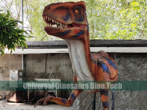 Animatronic Raptor Head Model
