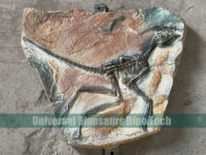 Archaeopteryx Fossil On Dig Site