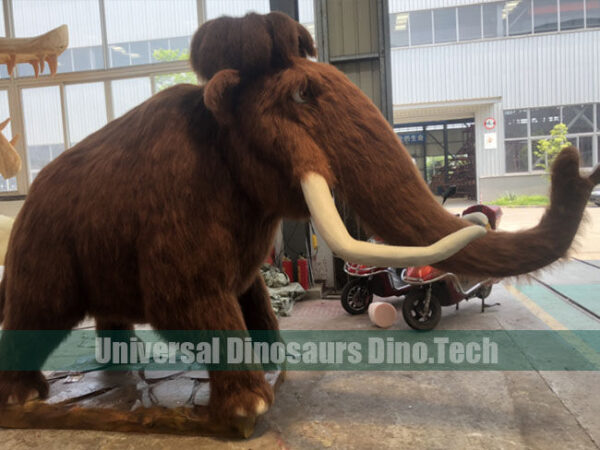 Cartoon Mammoth Exhibits