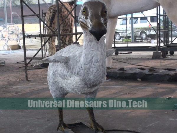 Dodo Bird Model