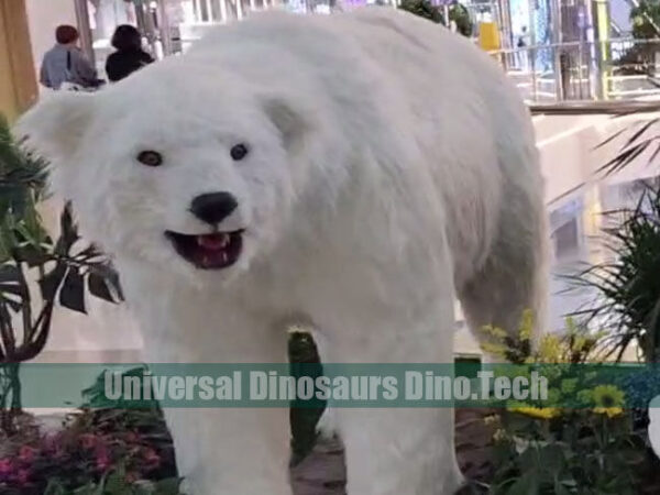 Juvenile Polar Bear Model