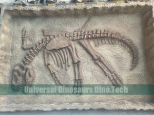 Juvenile Trex Fossil on Dig Site