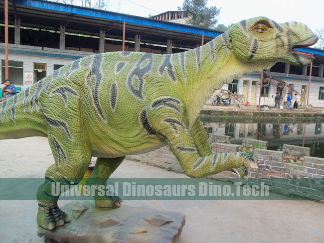 Muttaburrasaurus Model Replica