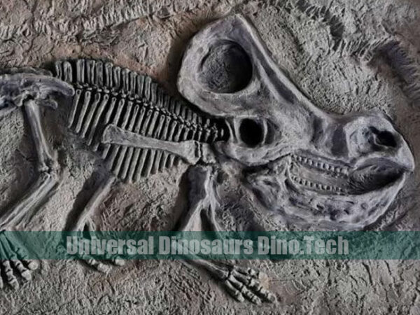 Protoceratops Fossil On Dig Site