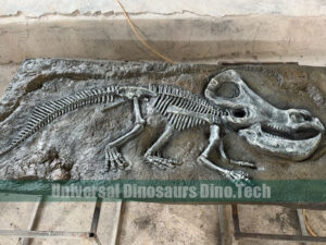 Protoceratops Fossil On Dig Site