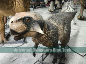 Psittacosaurus Model