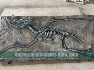 Pterosaur Fossil On Dig Site