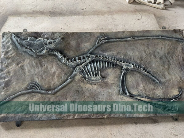 Pterosaur Fossil On Dig Site
