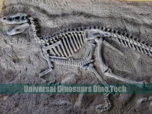 Raptor Fossil On Dig Site