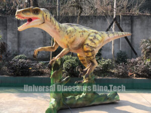 Raptor and Tree Model