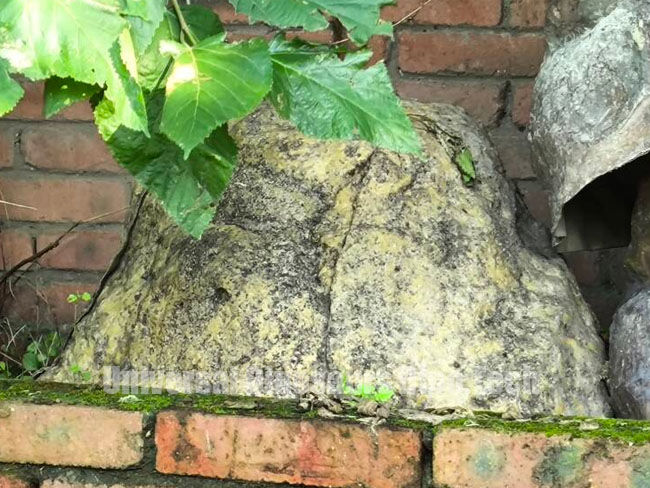Rock Style Fiberglass Cover
