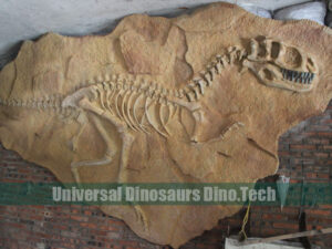 Trex Fossil on Dig Site